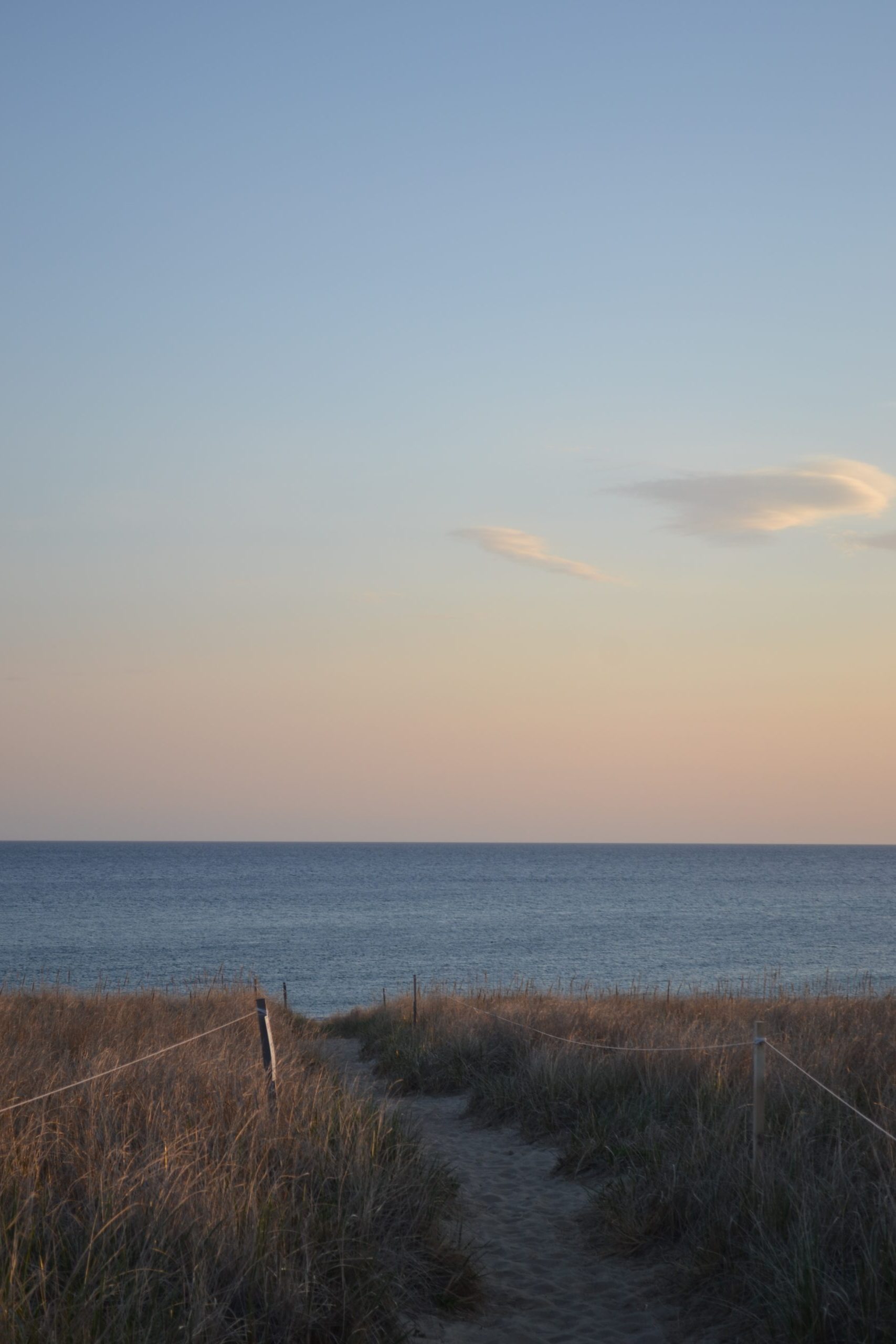 the beach in Cape Cod